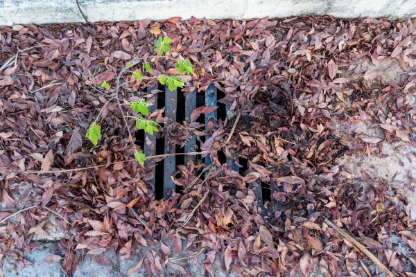 Cost of Yard Drain Unclogging in Painesville