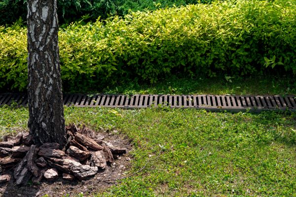 Cost of Wet Yard Drainage in Painesville