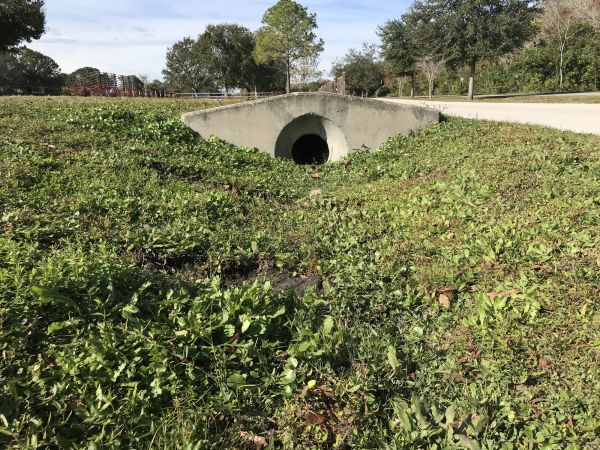 Cost of Swale Drainage Service in Painesville