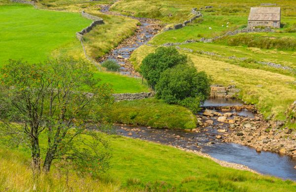 Cost of Swale Repair in Painesville
